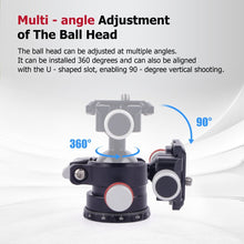 CAME - TV 360° Aluminum Panoramic Ball Head with Arca - Swiss Plate - CAME - TV