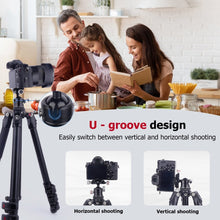 CAME - TV 360° Aluminum Panoramic Ball Head with Arca - Swiss Plate - CAME - TV