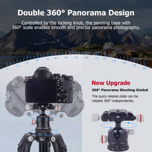 CAME - TV 360° Aluminum Panoramic Ball Head with Arca - Swiss Plate - CAME - TV