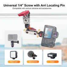 CAME - TV Super Clamp And 360° Adjustable Magic Arm Camera Kit with Dual Ball Head And Gopro Mount - CAME - TV