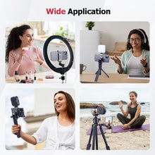 CAME - TV Universal Mobile Phone Clamp with Cold Shoe and 1/4