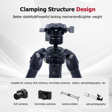 Low Profile Tripod Ball Head with 1/4