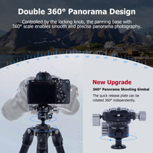 Low Profile Tripod Ball Head with 1/4