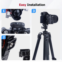 Low Profile Tripod Ball Head with 1/4