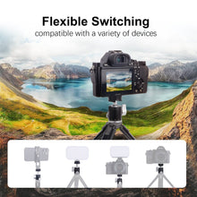 Mechrig Mini 360° Panoramic Ball Head with 1/4 Screw and Cold Shoe Mount - CAME - TV