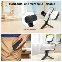 Mechrig Multi - Use Suction Cup Mount with Dual Ball Arm, GoPro Adapter, 360° Rotation Phone Holder and Mini Tripod - CAME - TV