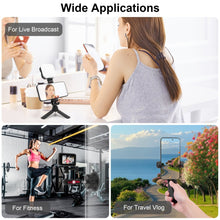 Mechrig Multi - Use Suction Cup Mount with Dual Ball Arm, GoPro Adapter, 360° Rotation Phone Holder and Mini Tripod - CAME - TV
