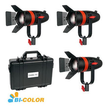 CAME - TV Boltzen 55w Fresnel Focusable LED Bi - Color - CAME - TV