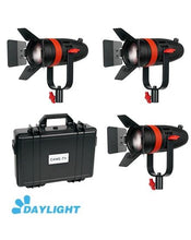 CAME - TV Boltzen 55w Fresnel Focusable LED Daylight - CAME - TV